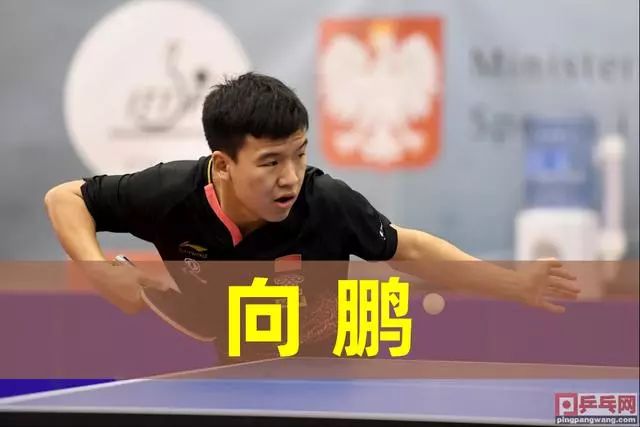 连续精准回 连续精准回