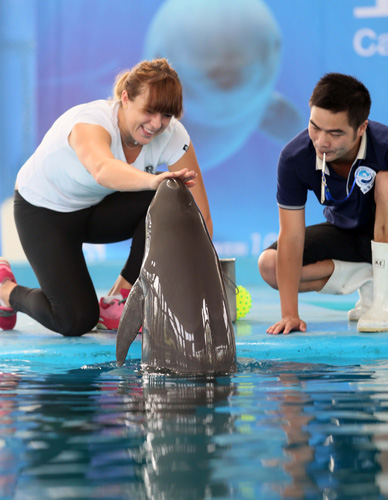 季已经悄然 季已经悄然